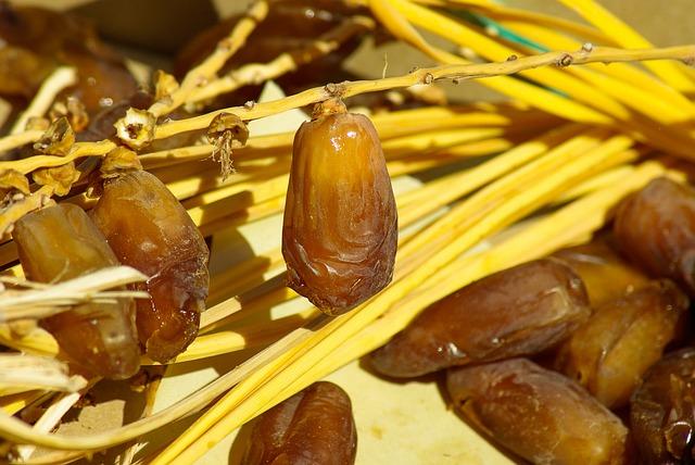 Sidattes. La production nationale de dattes en recul de 30% en 2022