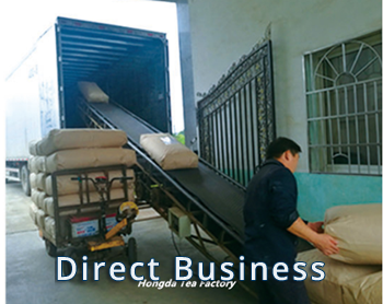 Thé vert de Chine sélectionné, produit et exporté de l'usine