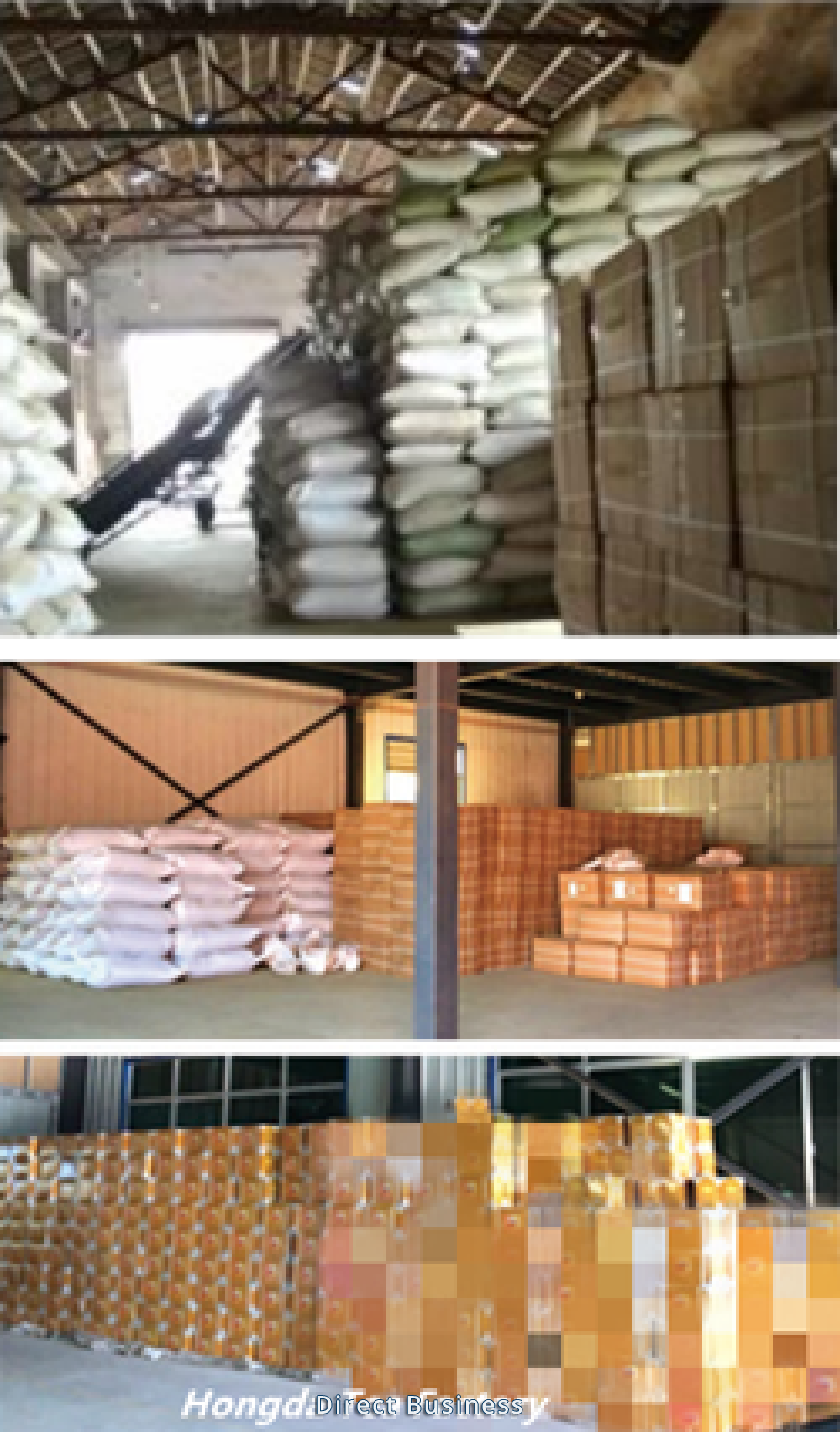 Thé vert de Chine sélectionné, produit et exporté de l'usine