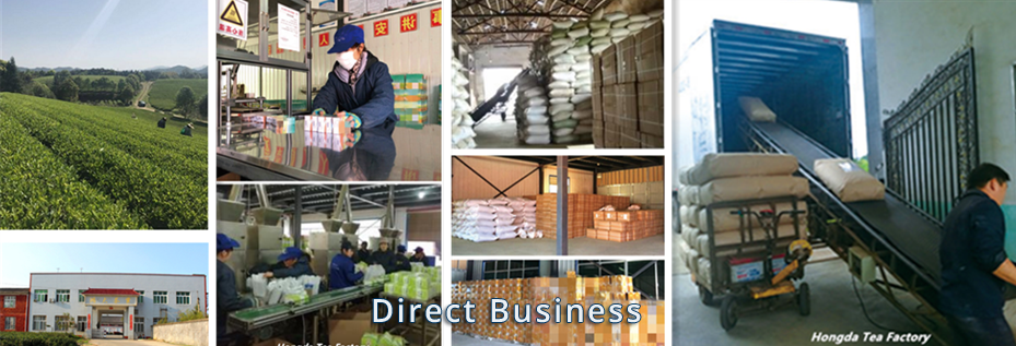 Usine thé vert chinois réputée pour qualité constante