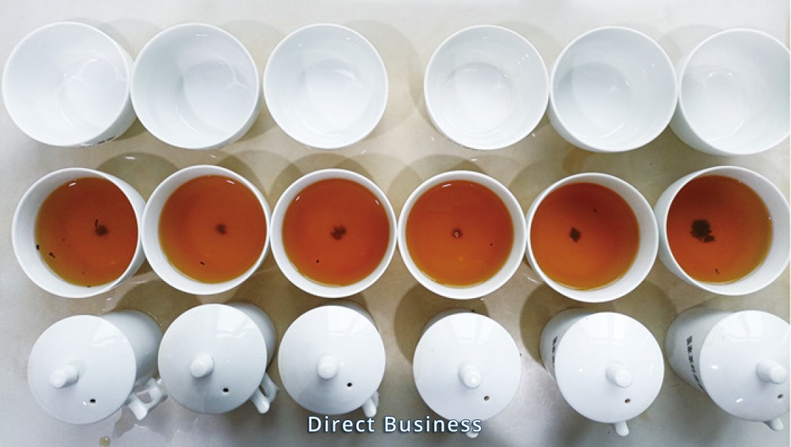 Echantillon du thé vert sur-mesure pour importateur du thé