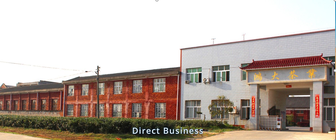 الشاي الأخضر الصيني China green tea Factory direct Exporting