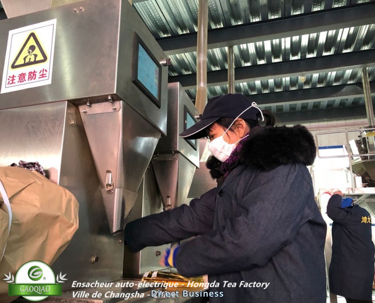 الشاي الأخضر الصيني China green tea Factory direct Exporting