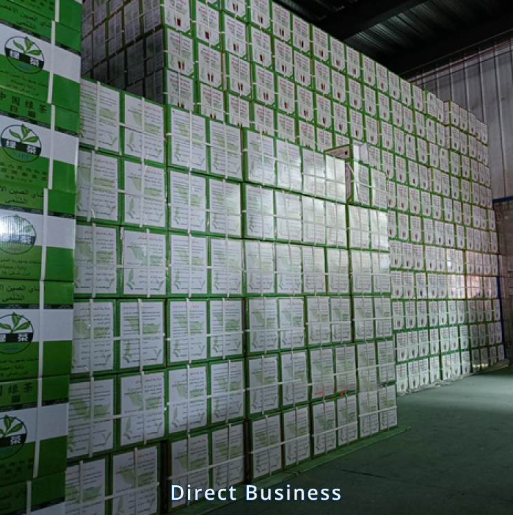 الشاي الأخضر الصيني China green tea Factory direct Exporting