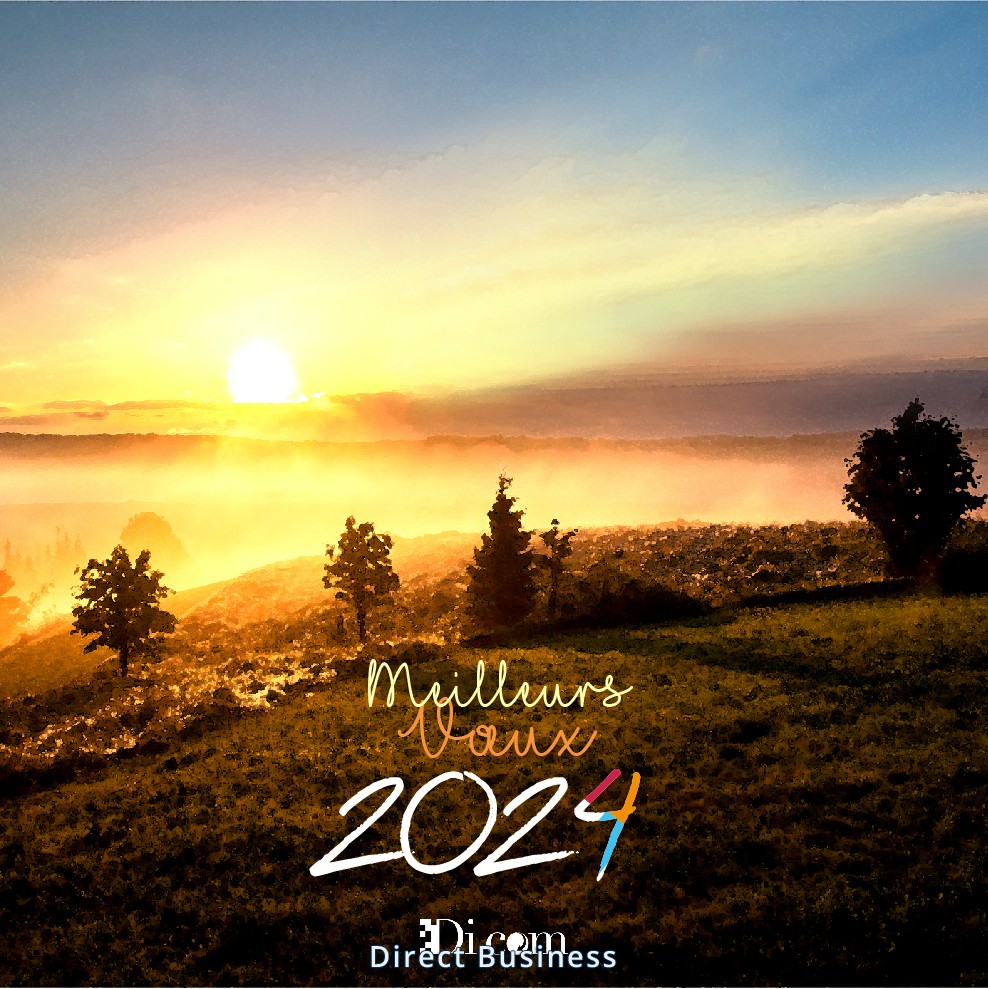 Di com : Belle année 2024