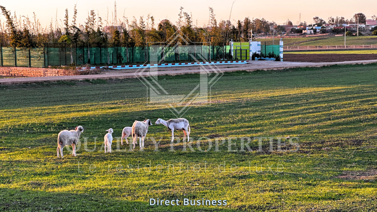 À vendre – Villa de prestige de type fermette à Labissa, Bouskoura, proche de Casablanca