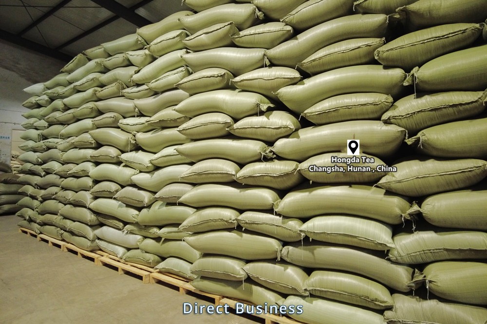 Thé vert de Chine du printemps Sans amertume grand quantité