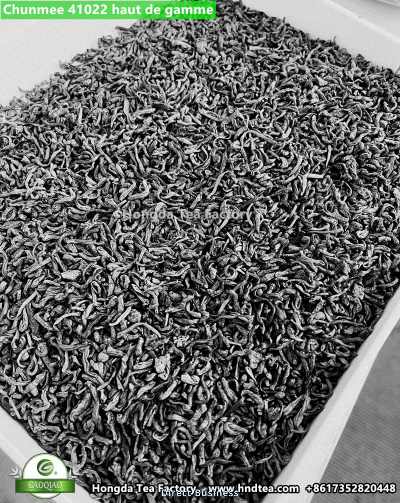 Thé vert de Chine du printemps Sans amertume grand quantité