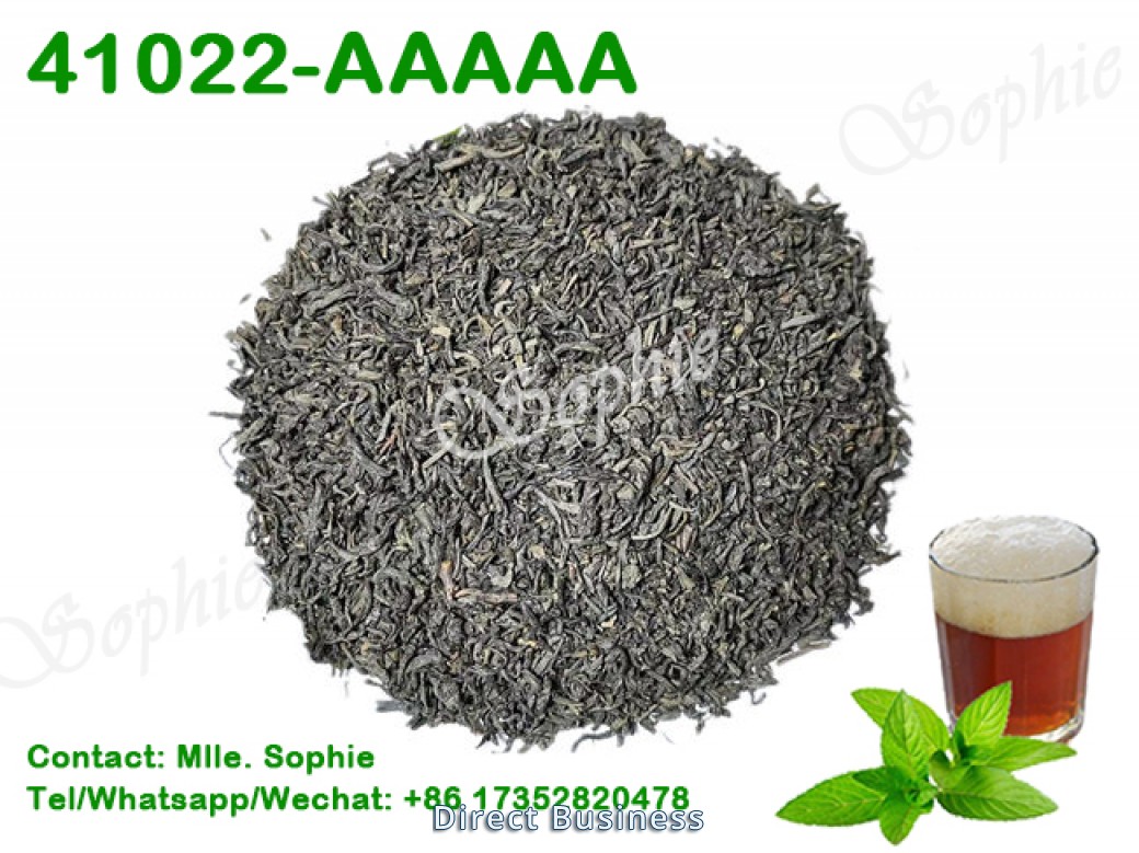 Thé vert Chunmee-Meilleure qualité de thé sahraoui