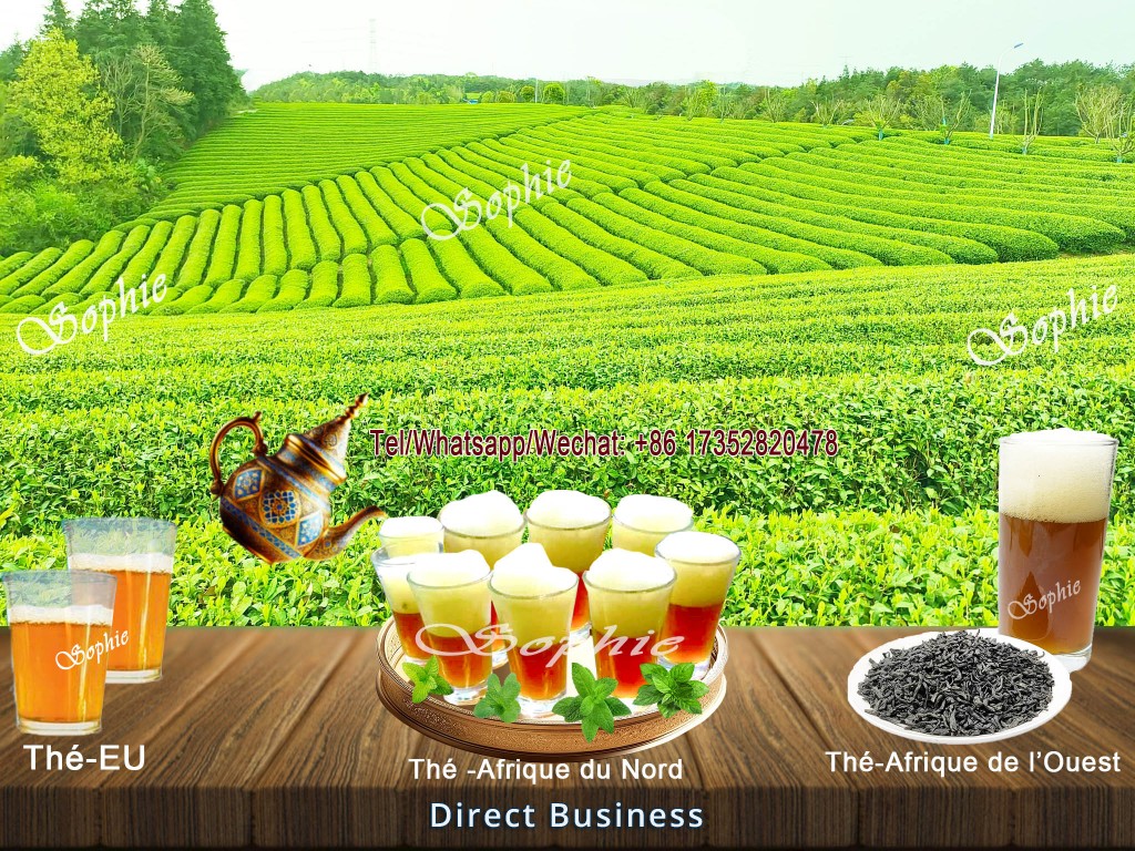 Meilleur usine de thé vert chinois- thé vert sahraoui