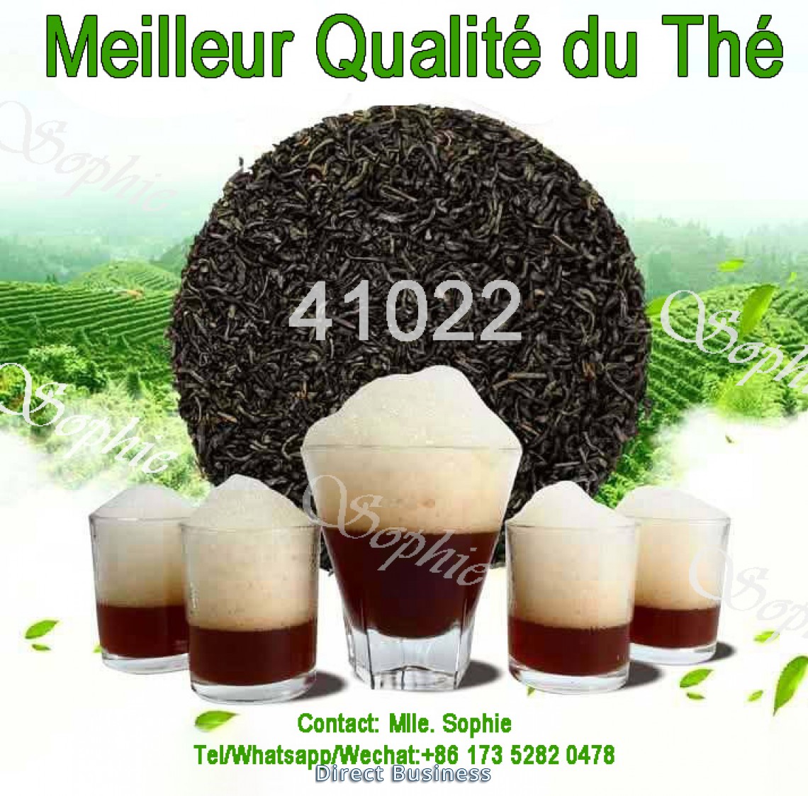 Thé vert Chinois - 41022