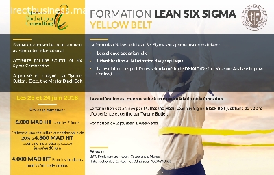 Lean Six Sigma Yellow Belt