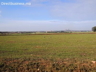 Terrain de 22Ha à vendre bouskoura