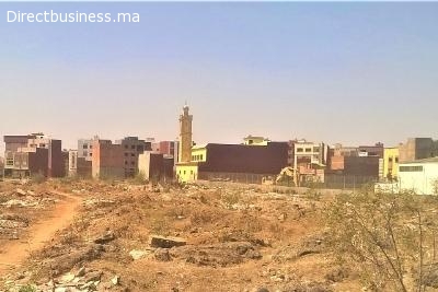 Terrain industriel 1 Ha, Bir Rami