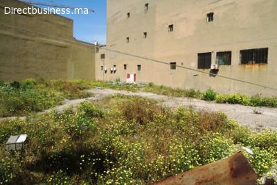 Terrain industriel 1000 m², Ain sebaa