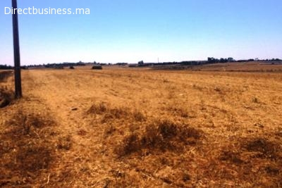Terrain titré 3,8 Ha Lakhyayta